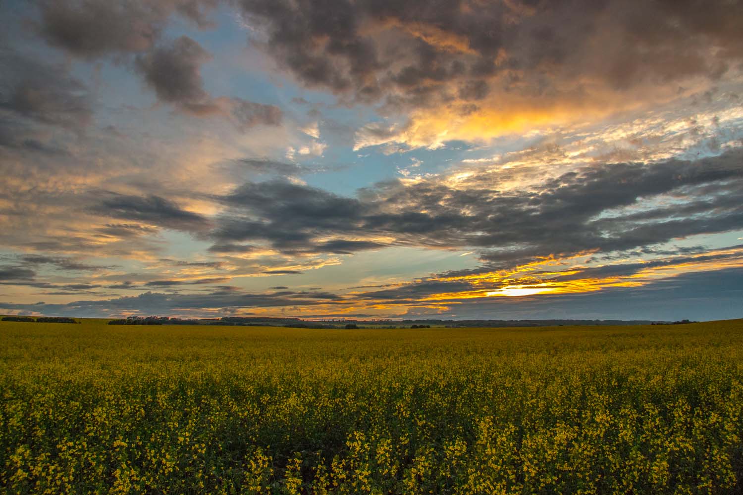 Fort St John - Peace Region(1)